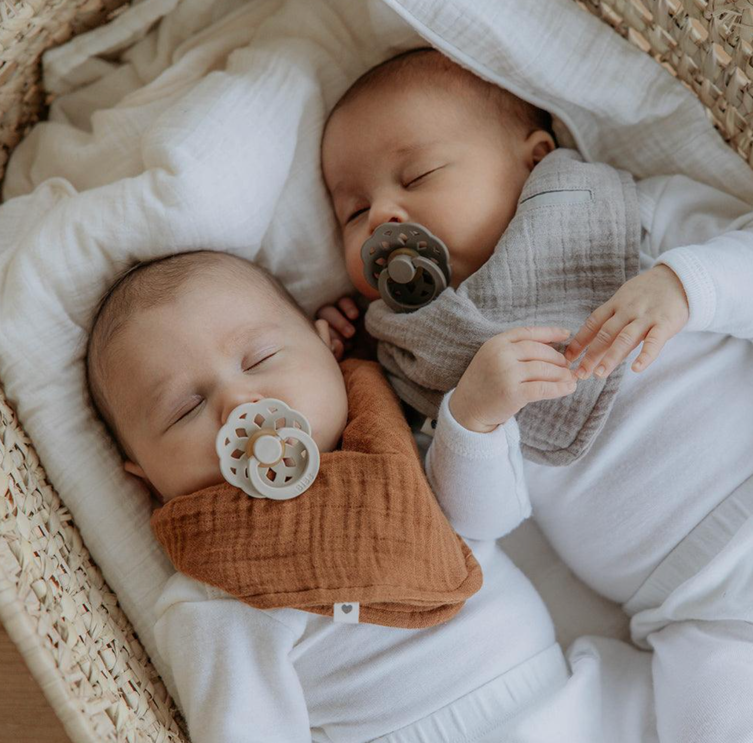 Boheme 2 Pack - Ivory/Blossom from Anderson Parker