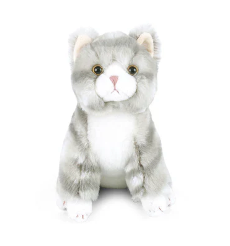 Cassie Kitty Small from Anderson Parker