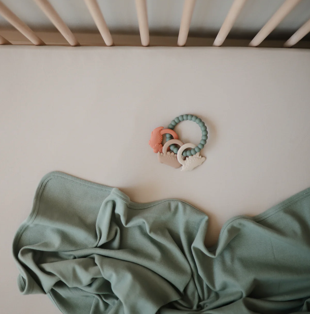 Dino Teething Ring from Anderson Parker