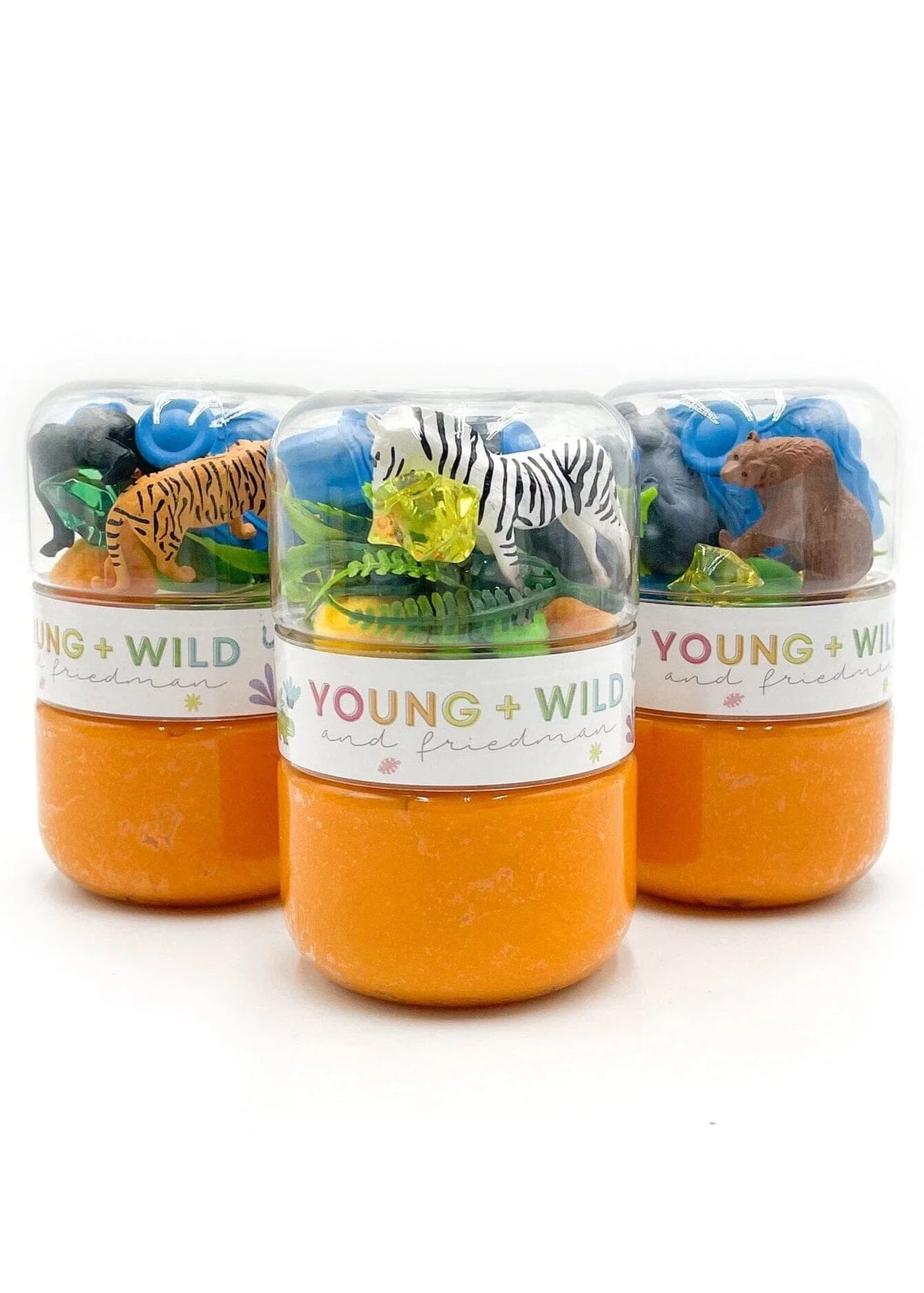 Grab & Go Dough Jar - Zoo from Anderson Parker