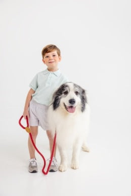 Prim And Proper Polo - Old Greenwich Green/Worth Ave White from Anderson Parker