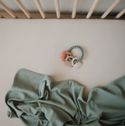 Dino Teething Ring from Anderson Parker