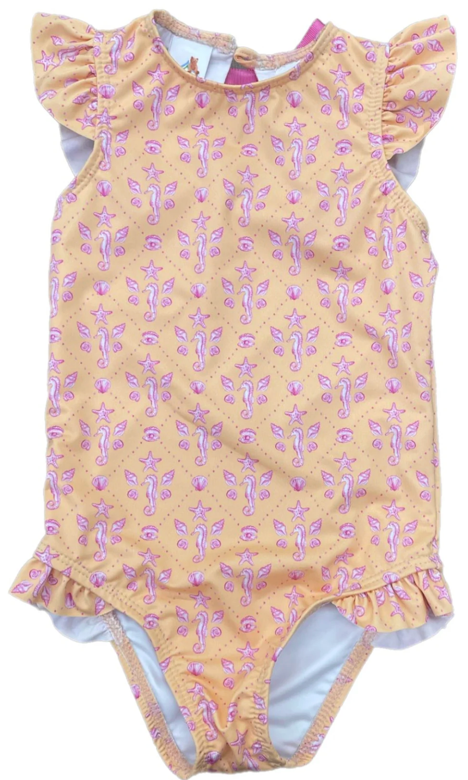 Seahorse Girls Swim from Anderson Parker