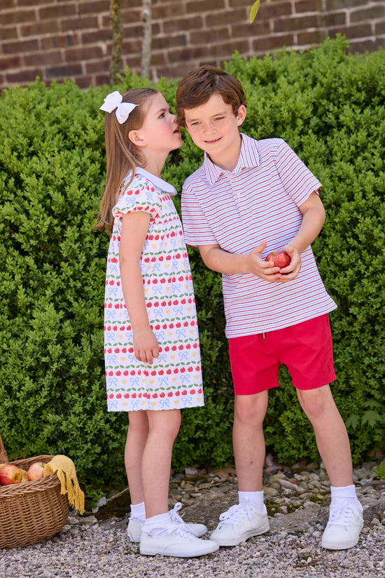 Short Sleeve Polo - Primary Stripe from Anderson Parker