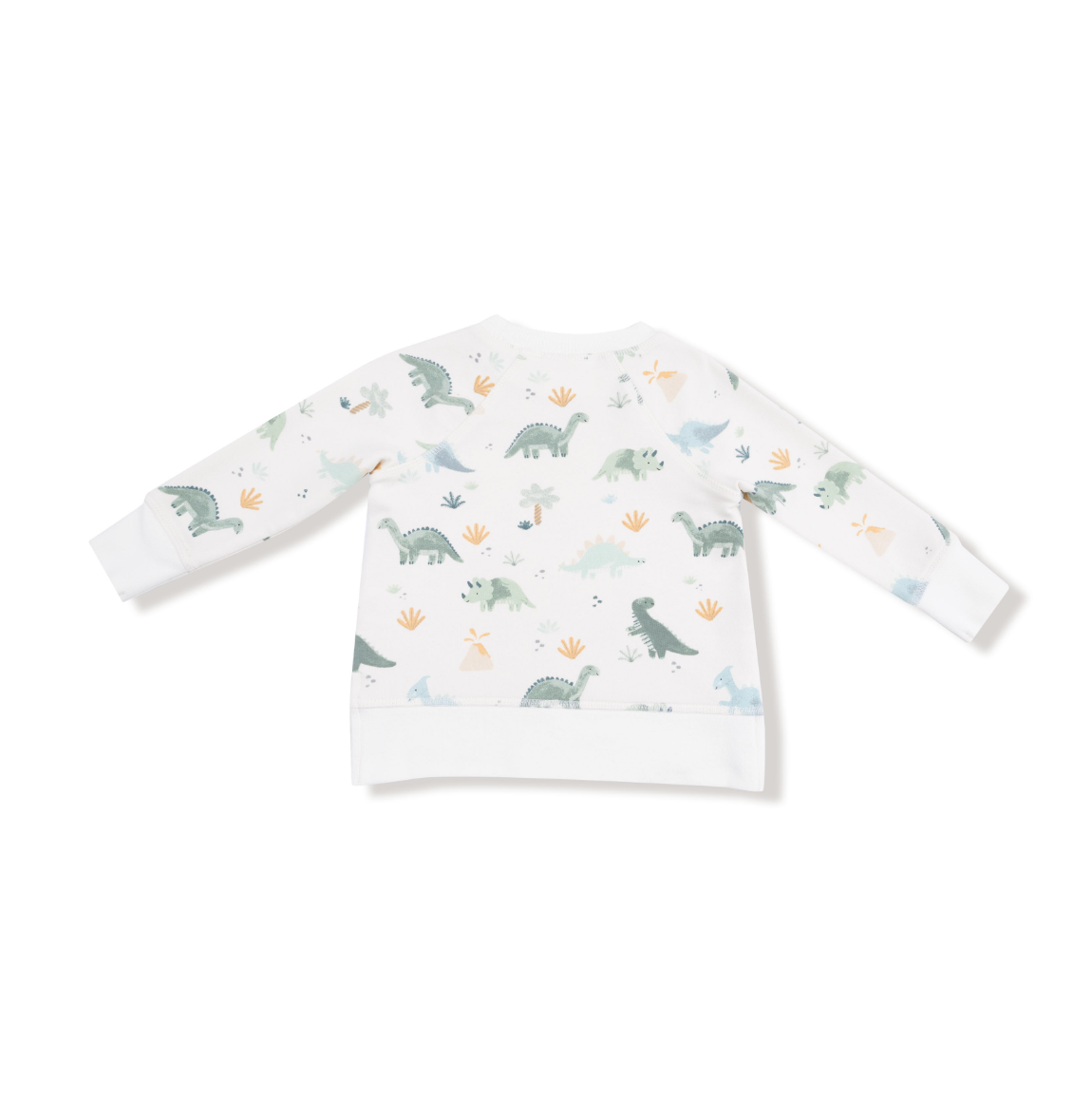 Soft Dinos - French Terry- Green - Raglan Sweatshirt + Jogger Set from Anderson Parker