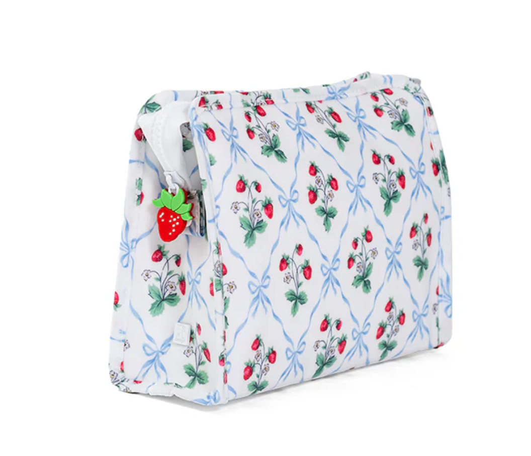 TRVL ROADIE MEDIUM Zip Pouch - BERRY NICE from Anderson Parker