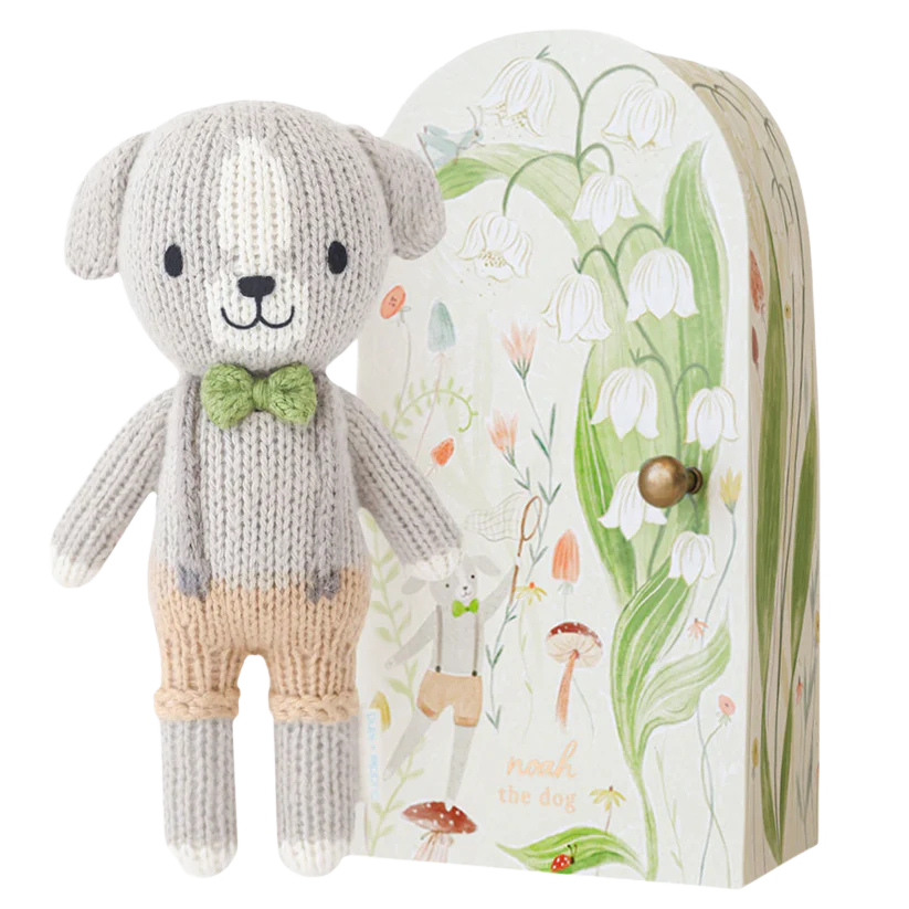 Tiny Noah the dog from Anderson Parker