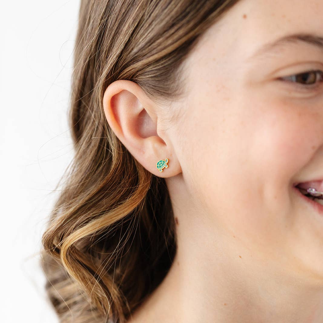 Turtle from Anderson Parker