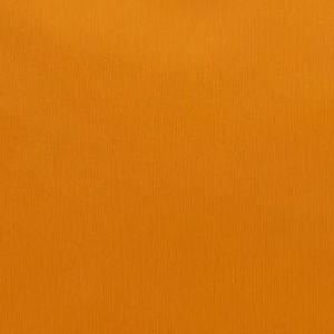 Coated Canvas Orange