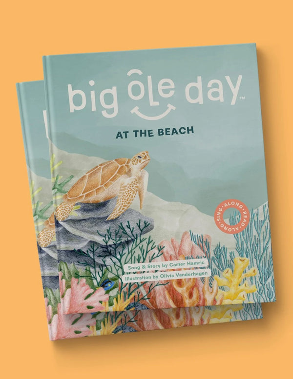 Big Ole Day at the Beach Book from Anderson Parker