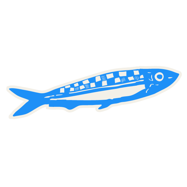 Bogg Bit - Sardine from Anderson Parker