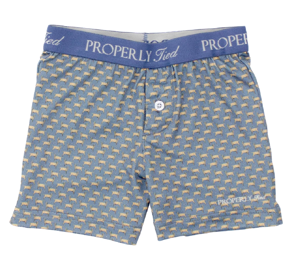 Boys Inlet Boxer - Up Dog from Anderson Parker