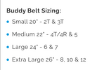 Buddy Belt - Leather from Anderson Parker