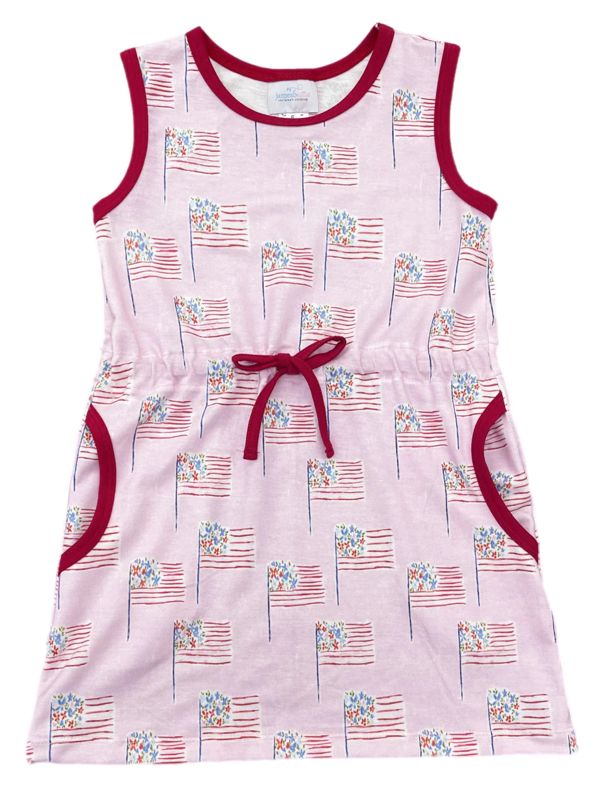 Camille Dress Pink Patriotic Flags - Anderson Parker