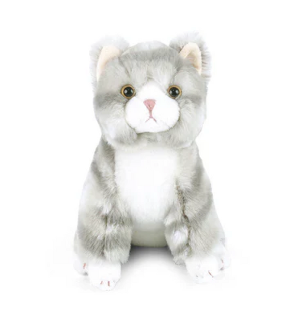 Cassie Kitty Small from Anderson Parker