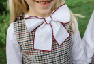 Chestnut A-Line Dress & Bow Shirt from Anderson Parker