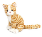 ChiChi Kitty from Anderson Parker