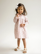 Colette Peter Pan Collar Dress - Pink Multi from Anderson Parker