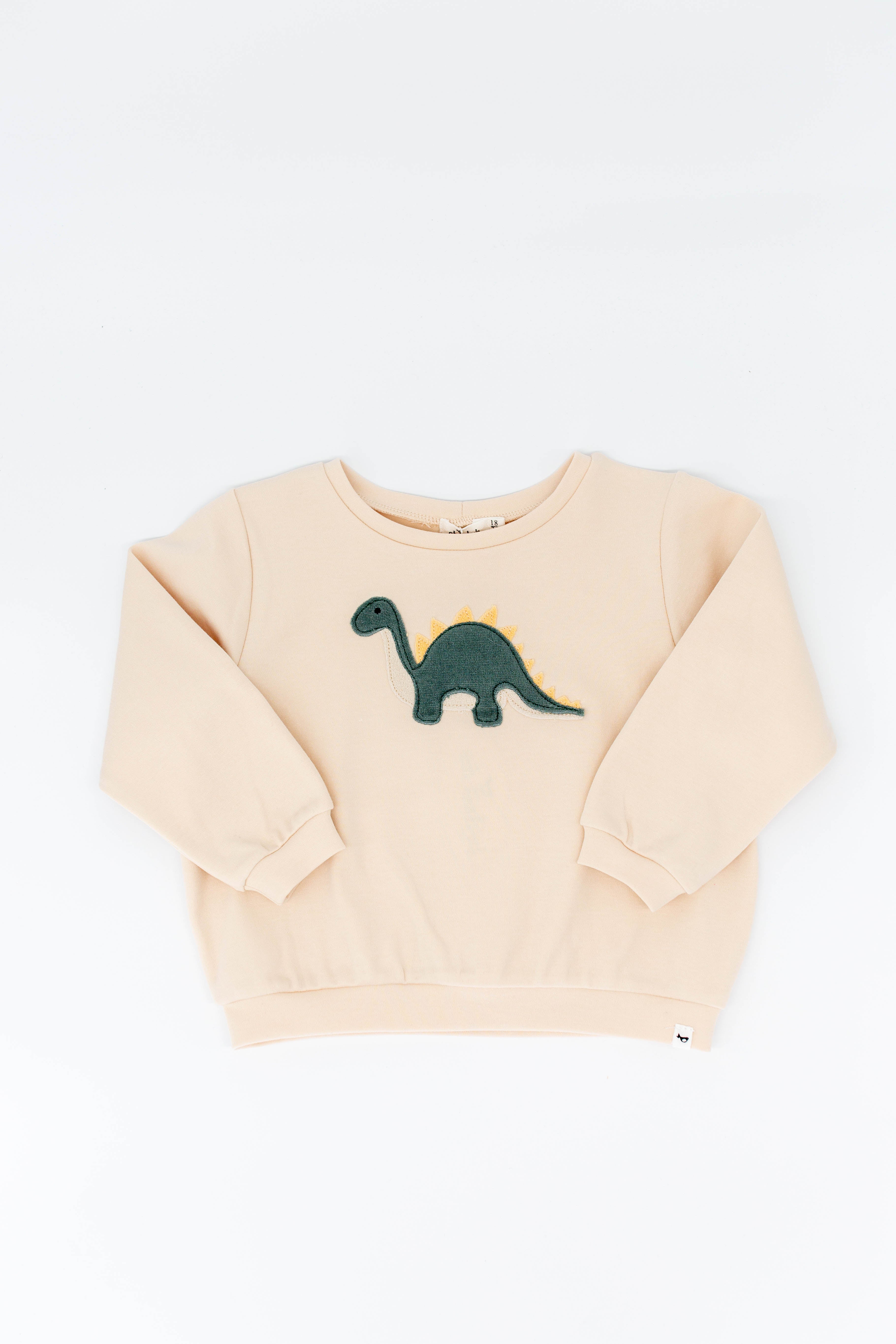 Dino Boxy Sweatshirt from Anderson Parker