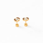 Dog from Anderson Parker