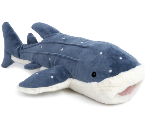 Echo the Whale from Anderson Parker