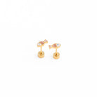 Fish from Anderson Parker