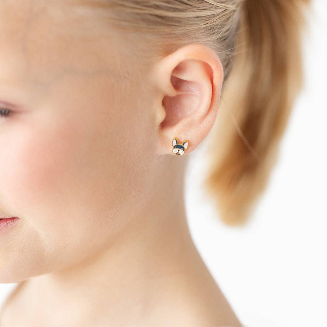 Frenchie from Anderson Parker