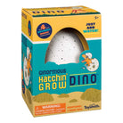 Ginormous Hatchin' Grow Dino Egg from Anderson Parker