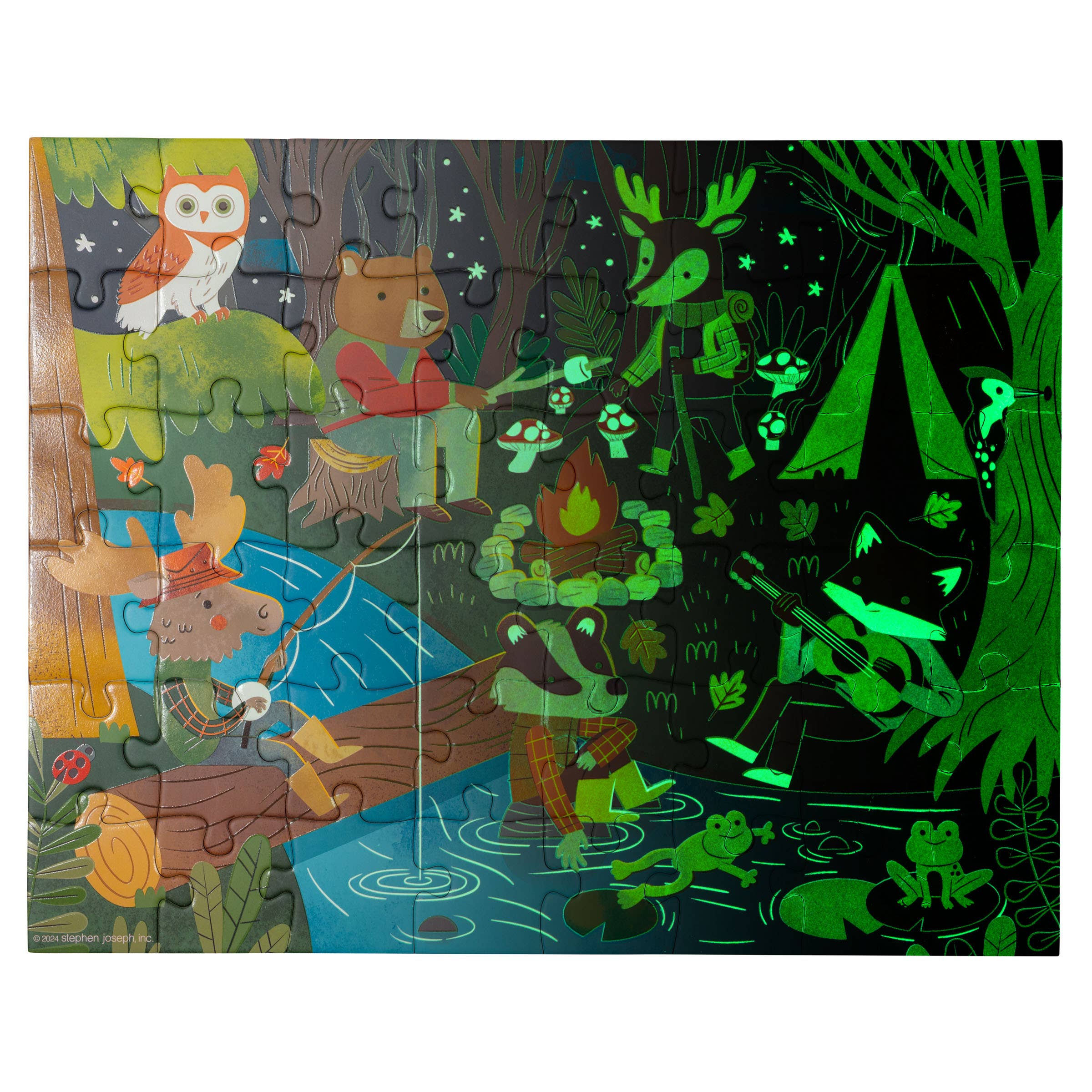 Glow In The Dark Puzzle from Anderson Parker