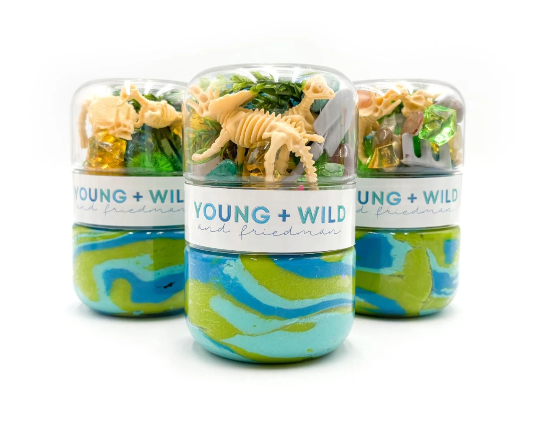 Grab & Go Dough Jar - Dino Fossils from Anderson Parker