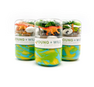 Grab & Go Dough Jar - Dinosaur from Anderson Parker