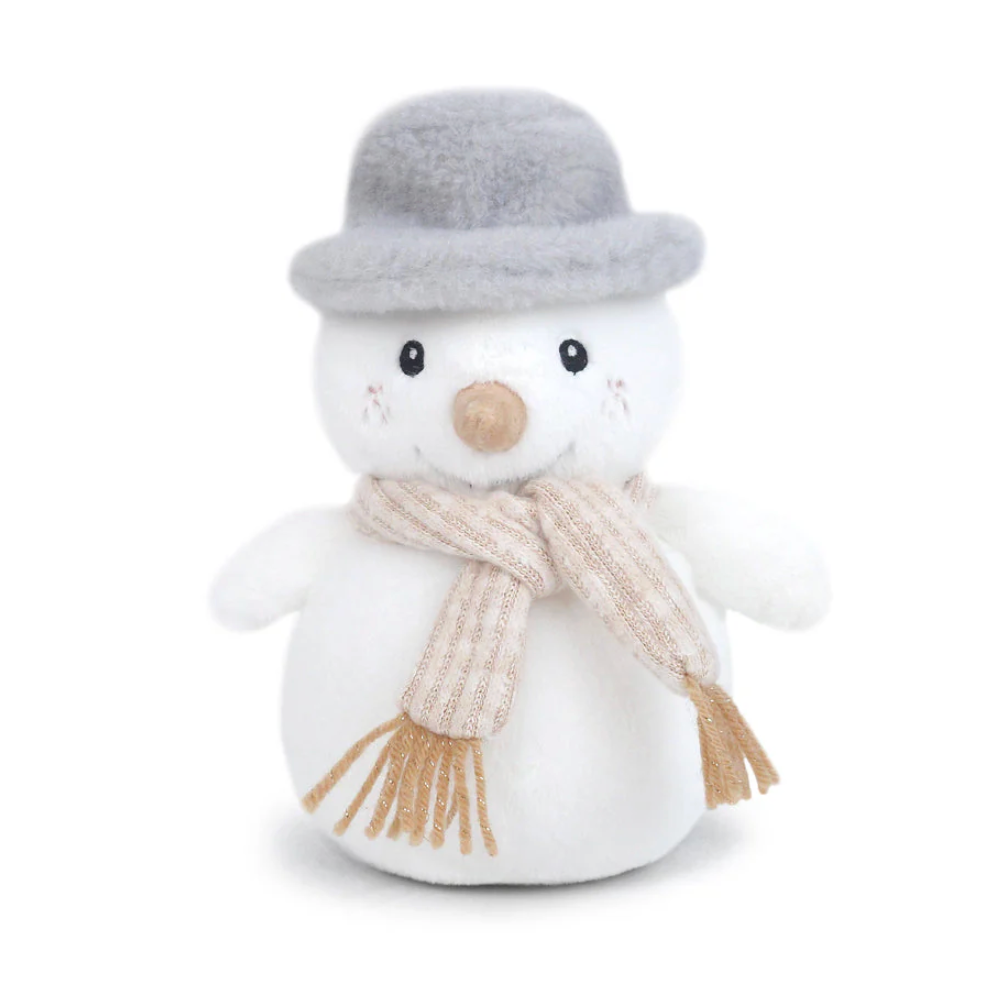 Mr. Chill Snowman from Anderson Parker