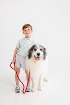 Prim And Proper Polo - Old Greenwich Green/Worth Ave White from Anderson Parker