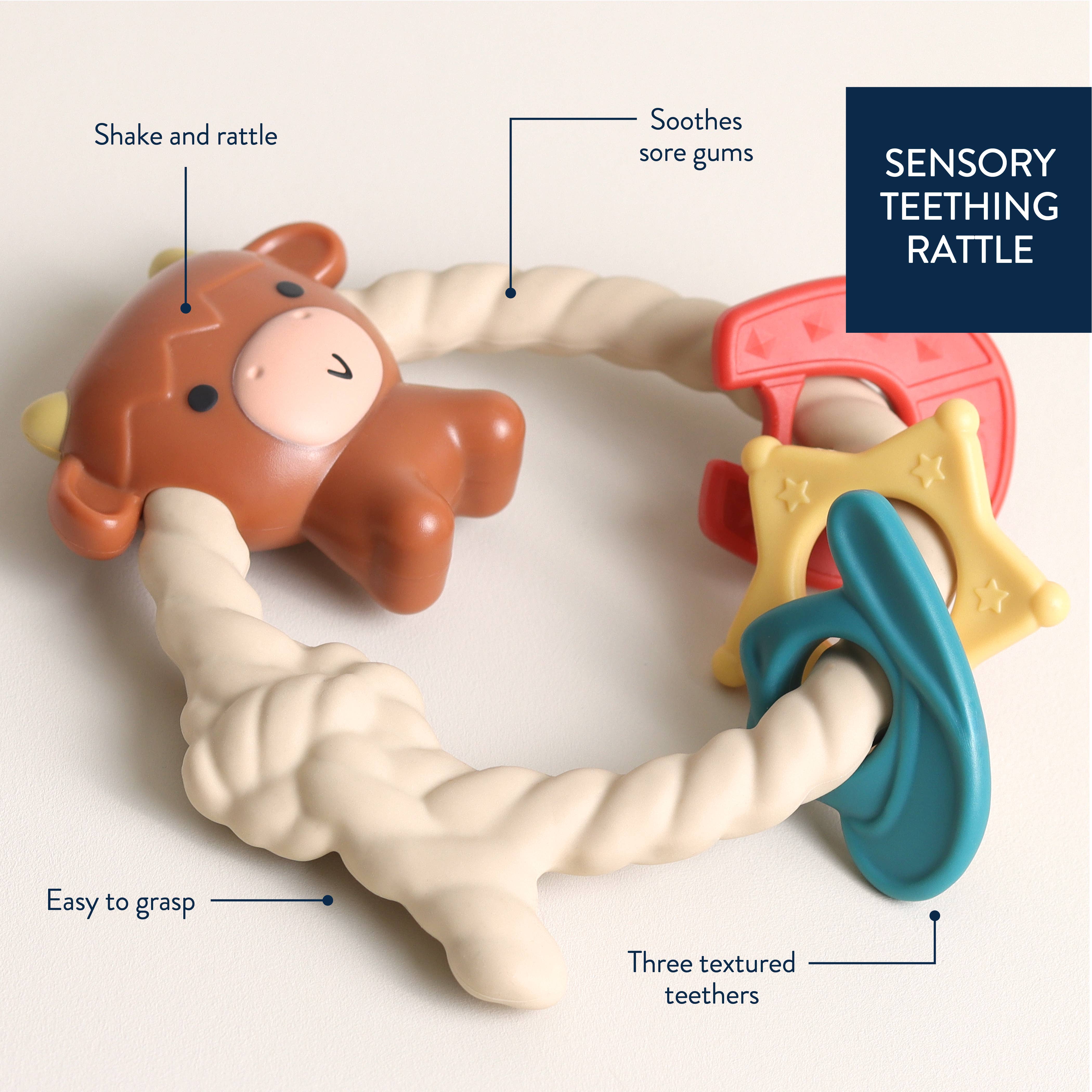 Ritzy Rattle™ Silicone Teether Rattles from Anderson Parker