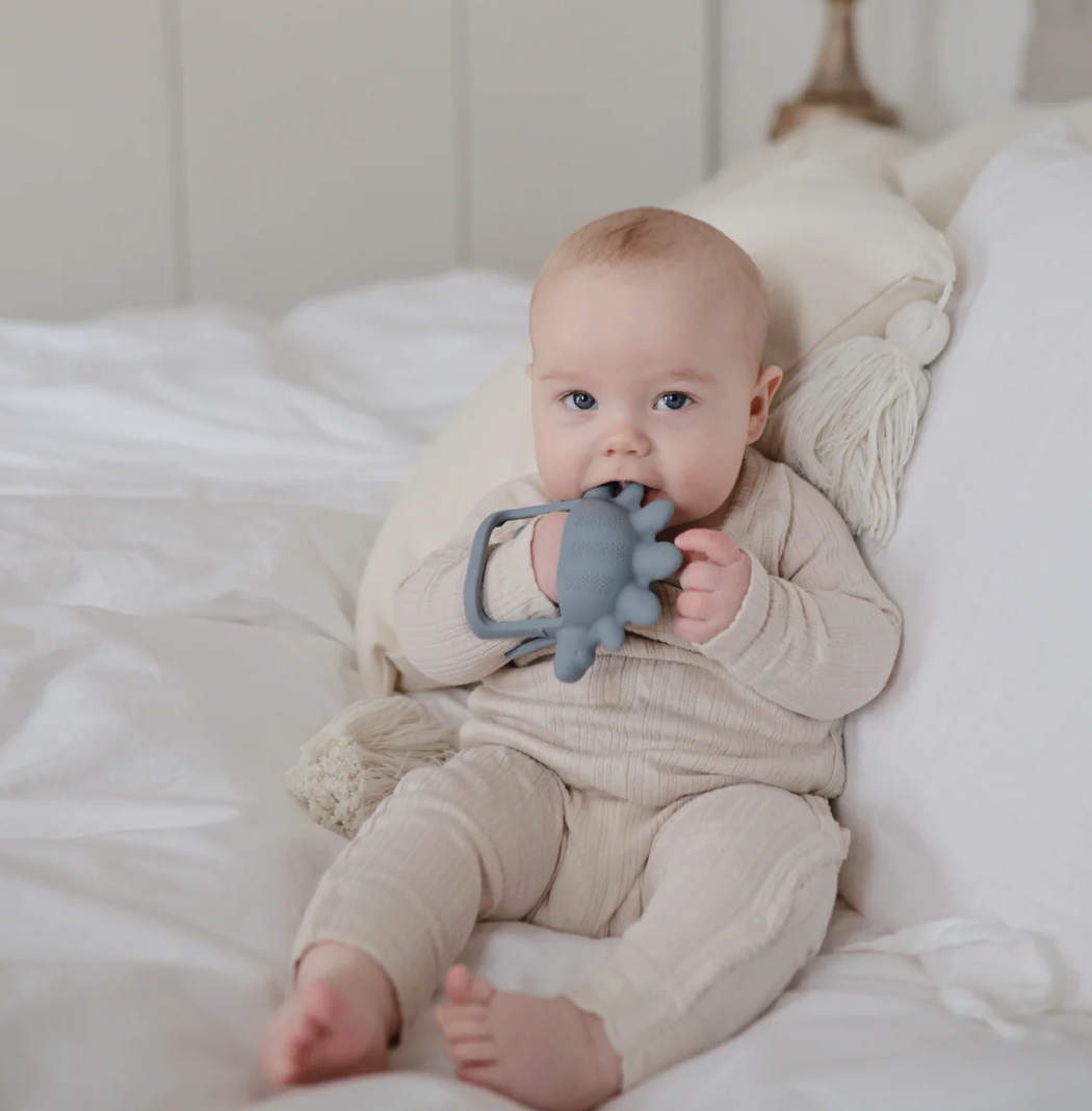 No-Drop Dino Teether (Tradewinds) from Anderson Parker