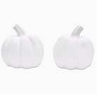 Decorate Your Own Pumpkin Kit from Anderson Parker