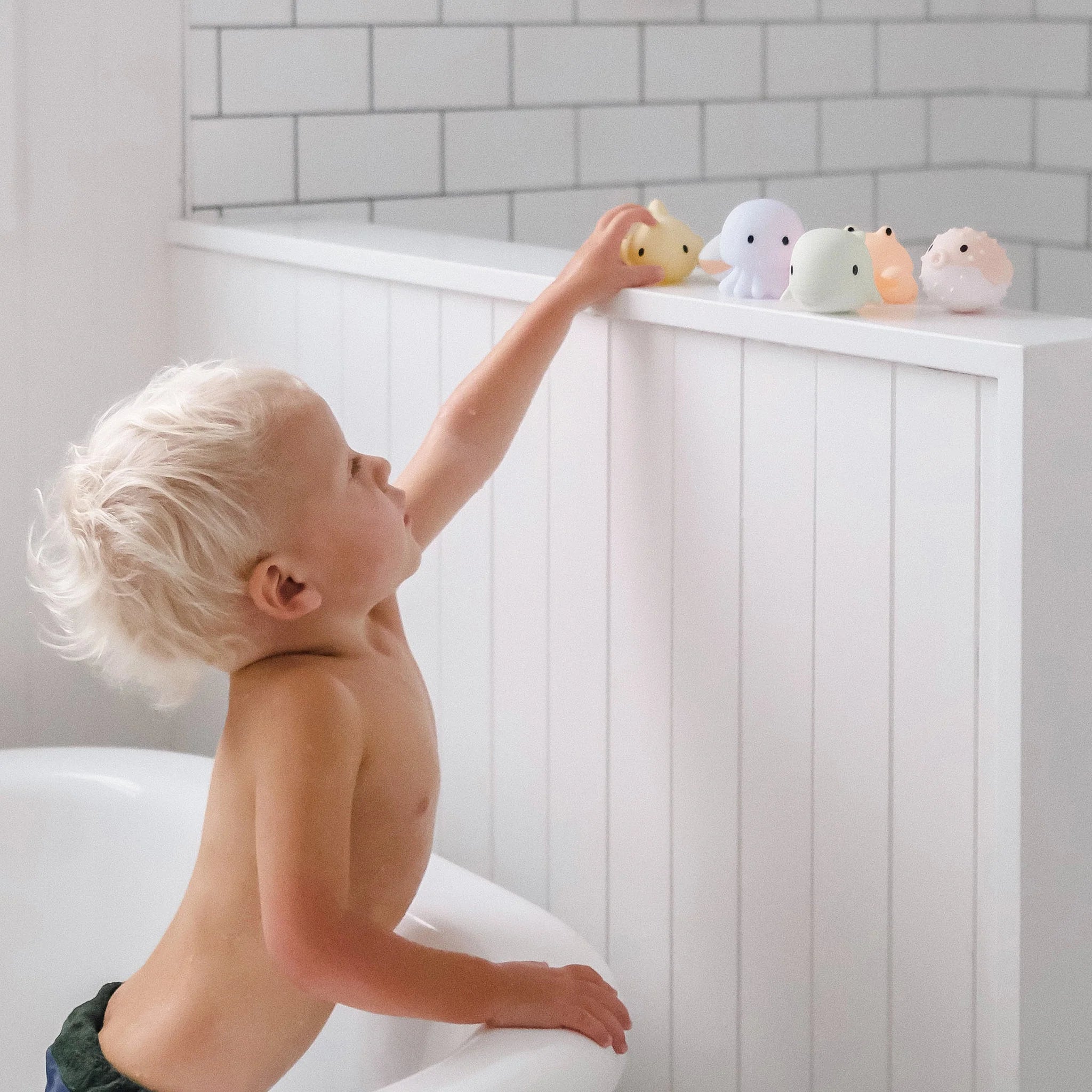 Sea Animal Splash Toys from Anderson Parker