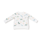 Soft Dinos - French Terry- Green - Raglan Sweatshirt + Jogger Set from Anderson Parker