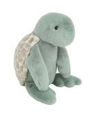 Taylor Turtle from Anderson Parker