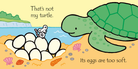 That's Not My Turtle... : Usborne from Anderson Parker