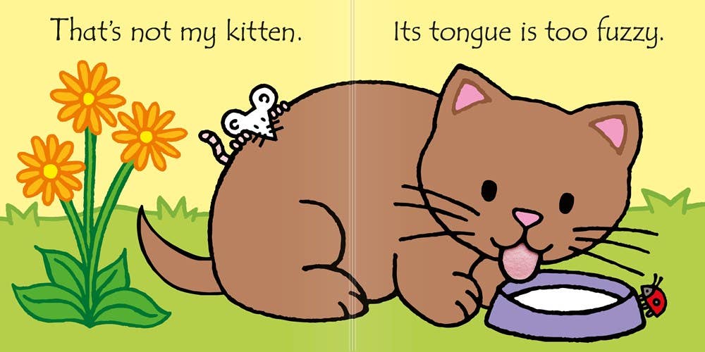 That's not my kitten...: Usborne from Anderson Parker