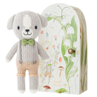 Tiny Noah the dog from Anderson Parker