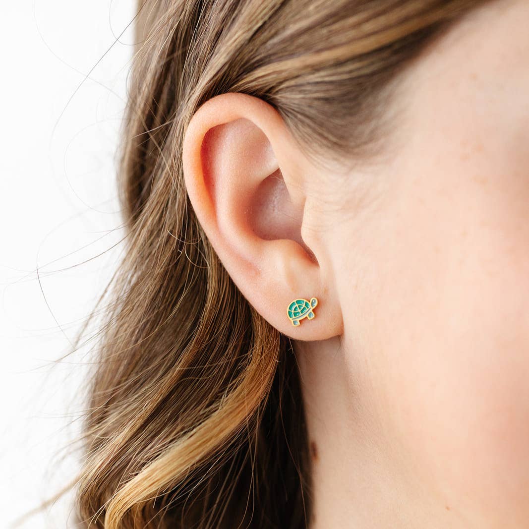 Turtle from Anderson Parker