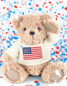 USA Teddy Bear - Medium from Anderson Parker
